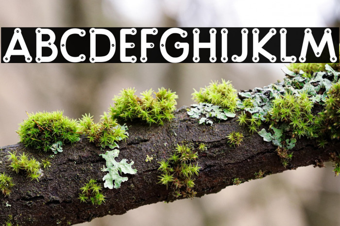 screwround Example 1