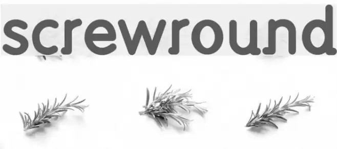 screwround Font examples