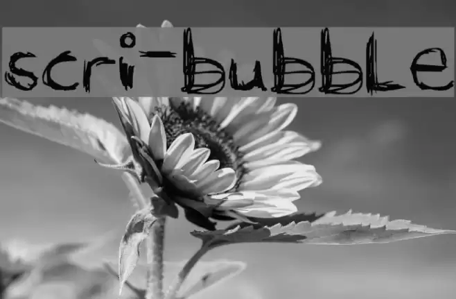 scri-bubble Font examples