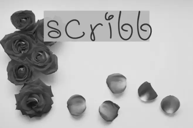 scribb Font examples