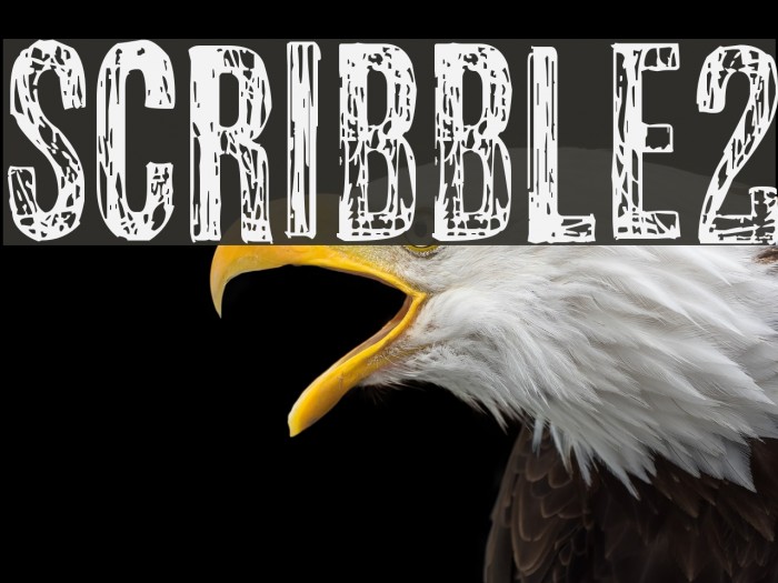 scribble2 Font examples