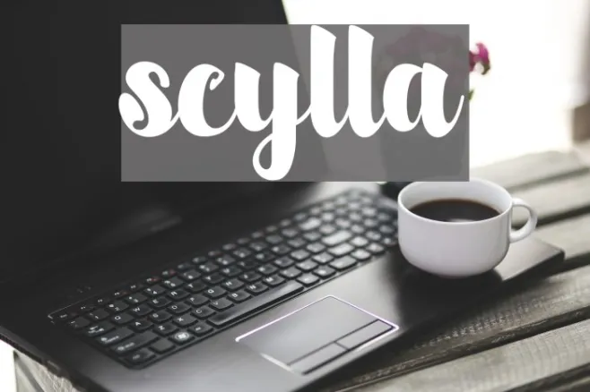 scylla Example 3