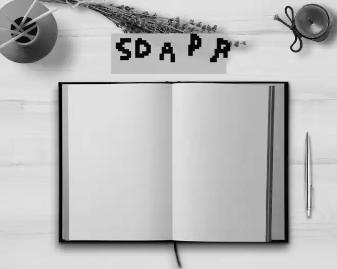 SD Auto Pilot Regular Fonte examples