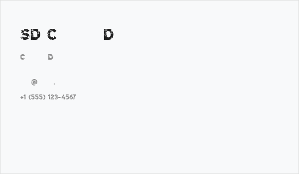 SD Cammello Demo Business Card