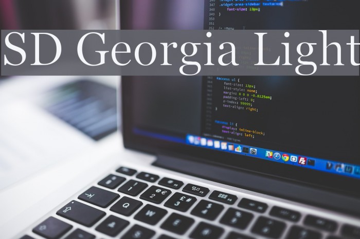 SD Georgia Light Font examples