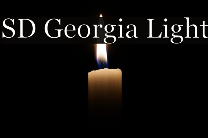 SD Georgia Light Font examples
