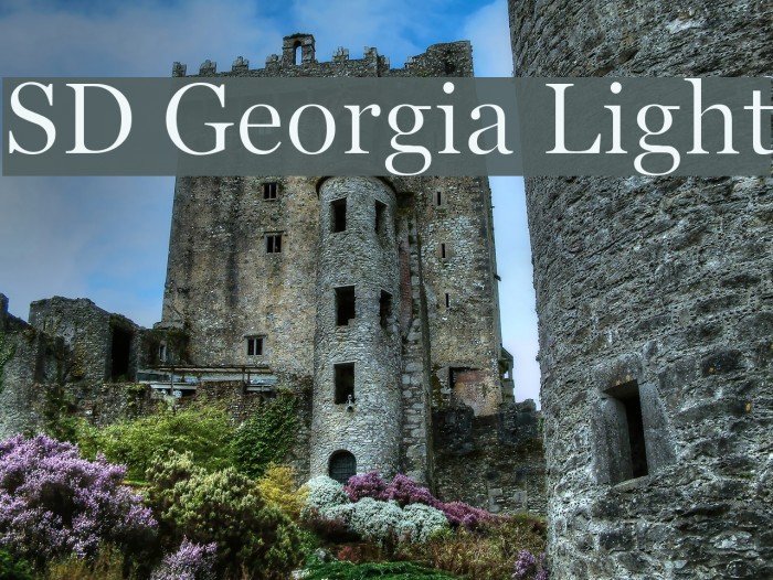 SD Georgia Light Font examples