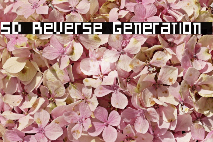 SD Reverse Generation Fuentes examples
