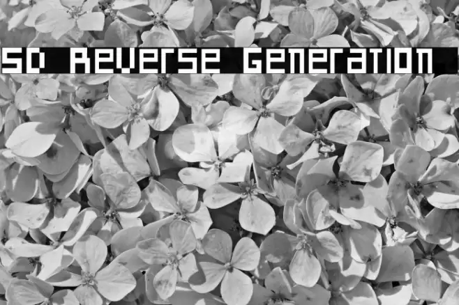 SD Reverse Generation Fuentes examples