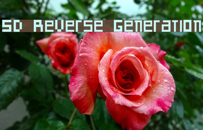 SD Reverse Generation Font examples