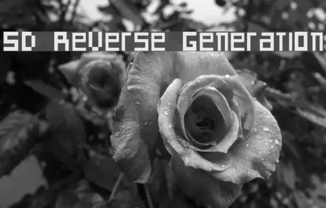 SD Reverse Generation フォント examples