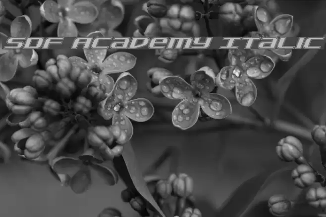 SDF Academy Italic Font examples