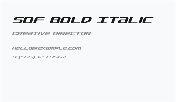 SDF Bold Italic Business Card