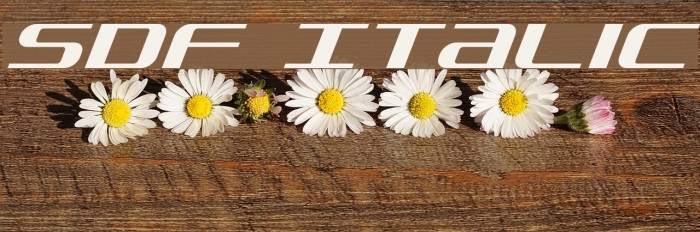 SDF Italic Font examples