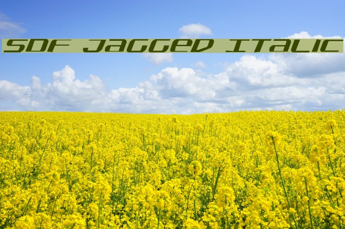 SDF Jagged Italic Font examples