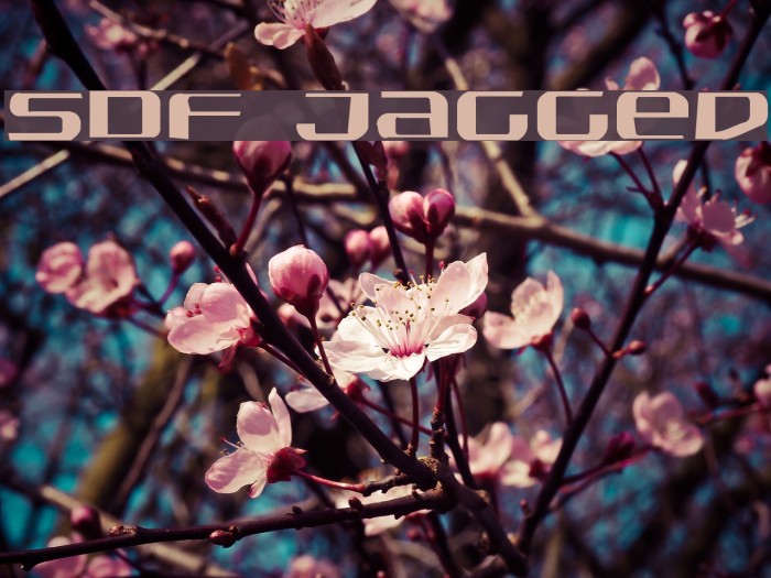 SDF Jagged Example 3