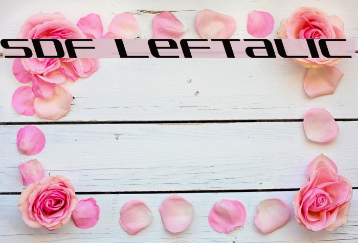 SDF Leftalic Example 3