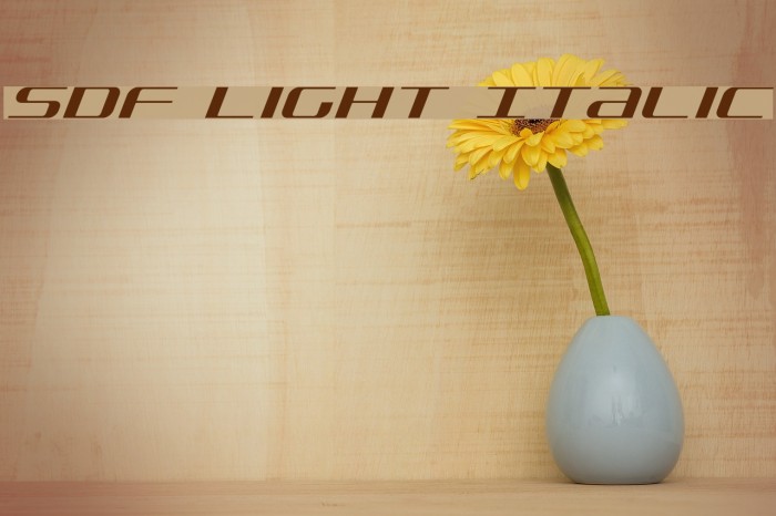 SDF Light Italic Font examples