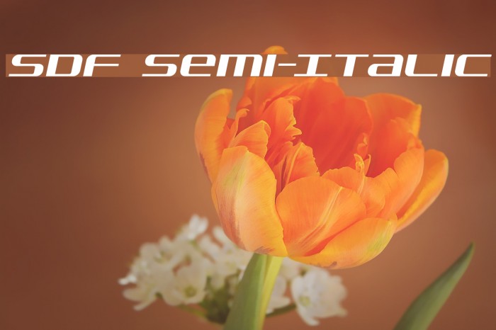 SDF Semi-Italic Font examples