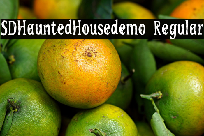 SDHauntedHousedemo Regular Example 2