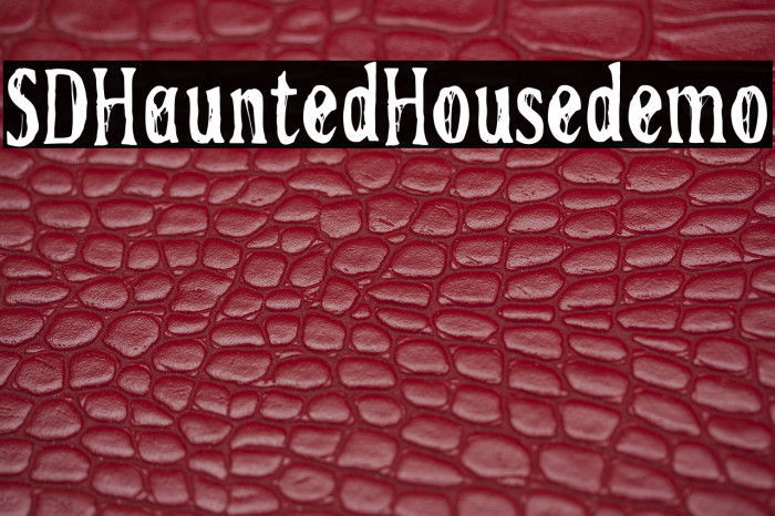 SDHauntedHousedemo Example 2