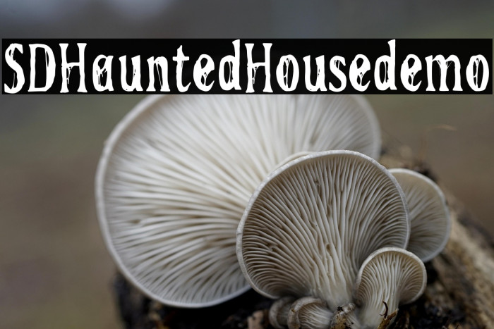 SDHauntedHousedemo Example 3