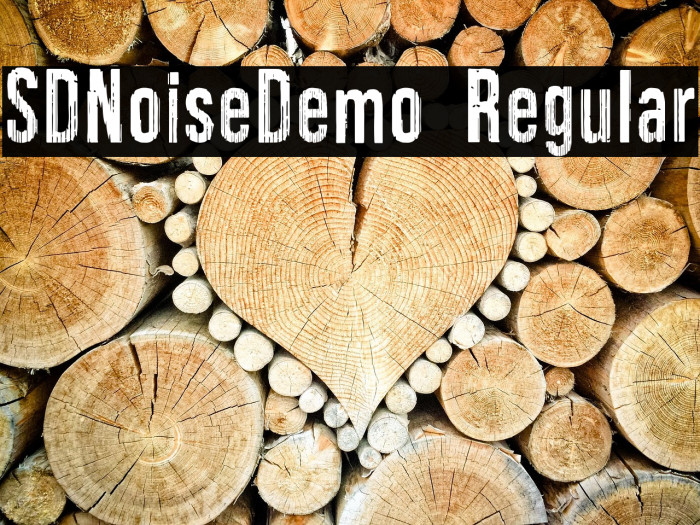 SDNoiseDemo Regular Example 1