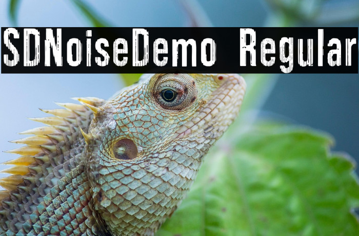 SDNoiseDemo Regular Example 2