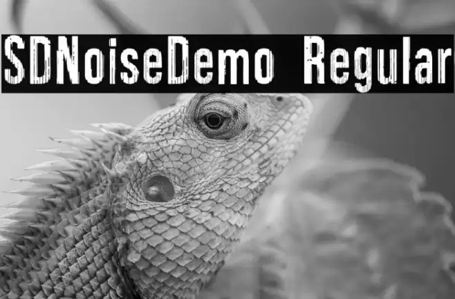 SDNoiseDemo Regular Font examples