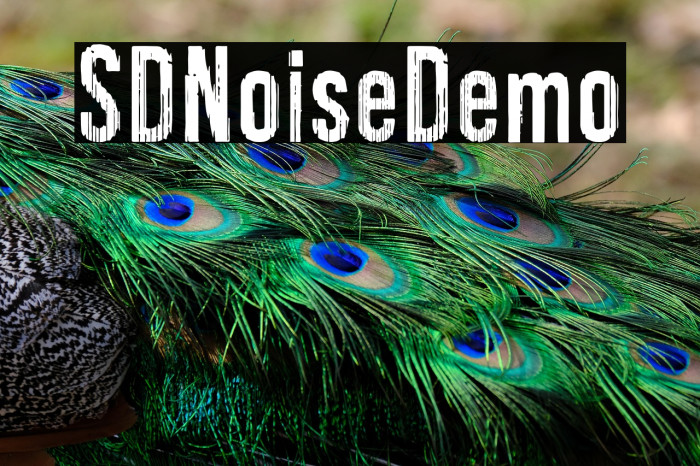 SDNoiseDemo Example 1