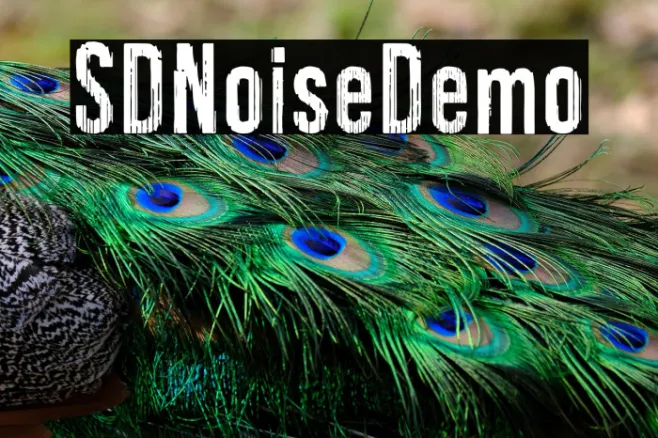SDNoiseDemo Example 1