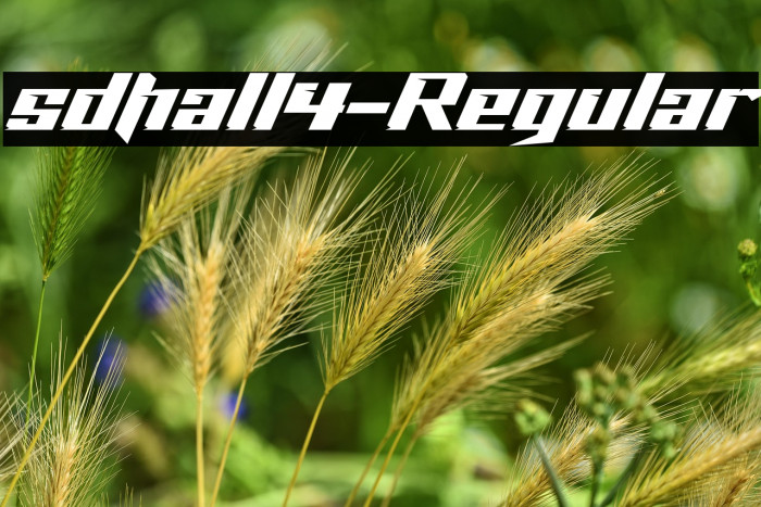 sdhall4-Regular Example 1