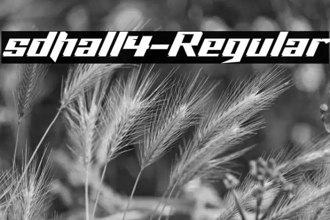 sdhall4-Regular Font examples