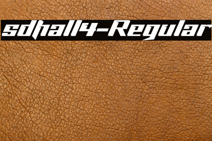 sdhall4-Regular Example 3