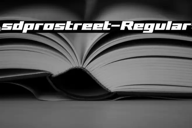 sdprostreet-Regular Font examples