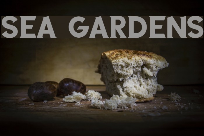 SEA GARDENS Font examples