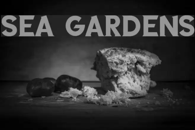 SEA GARDENS Font examples