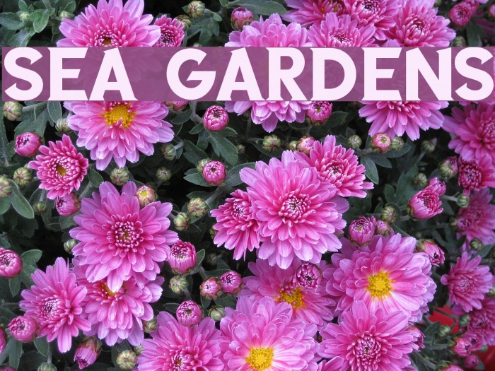 SEA GARDENS Font examples
