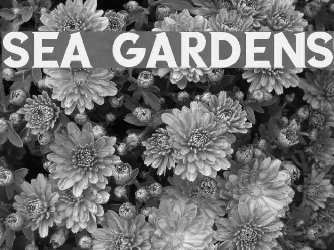 SEA GARDENS Font examples