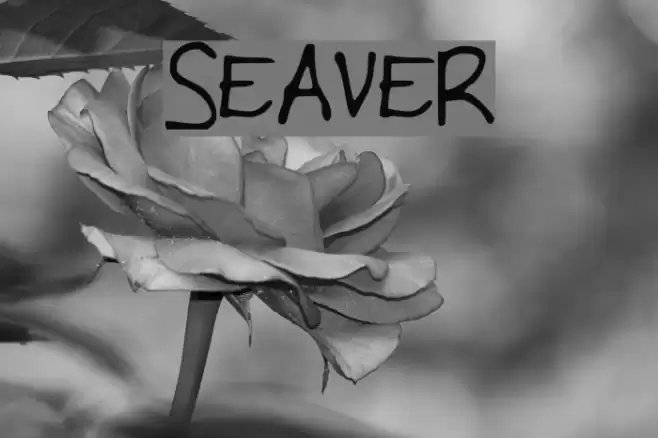 SEAVER Font examples