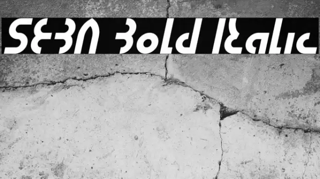 SEBA Bold Italic Font examples