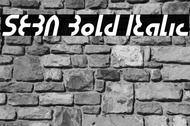 SEBA Bold Italic Font examples