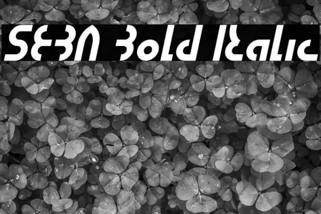 SEBA Bold Italic Font examples