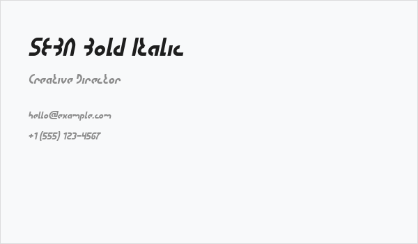 SEBA Bold Italic Business Card