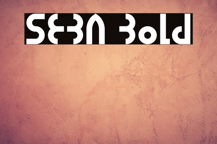 SEBA Bold Example 2