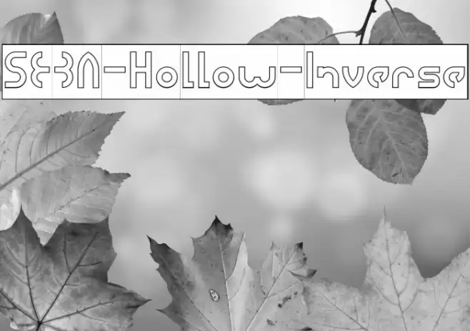 SEBA-Hollow-Inverse Font examples