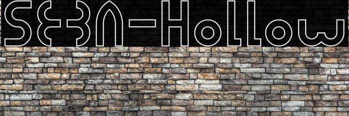 SEBA-Hollow Example 1