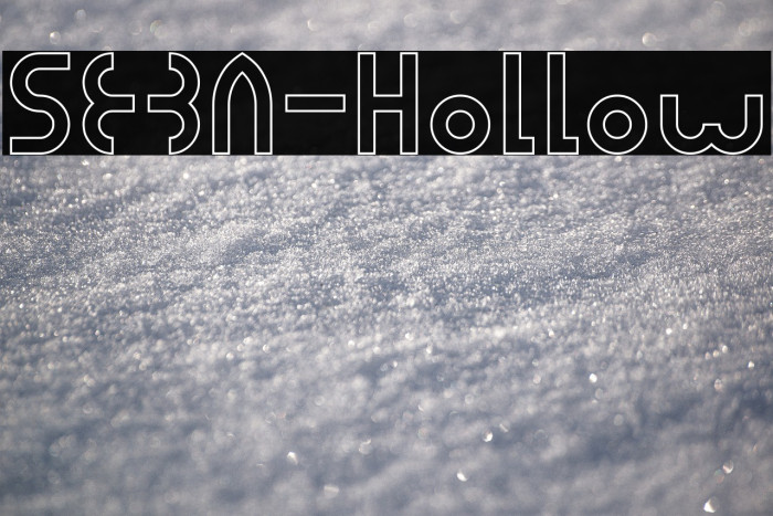 SEBA-Hollow Example 3