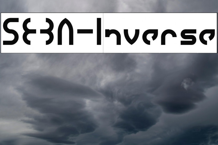 SEBA-Inverse Example 1