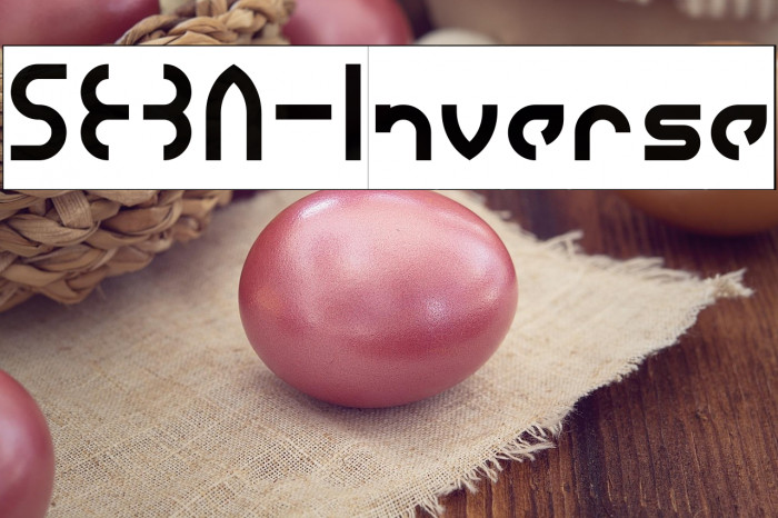 SEBA-Inverse Example 2